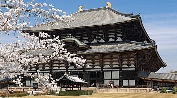 nara-header