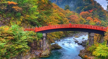 nikko-f2