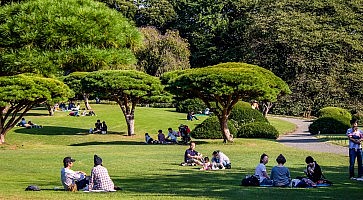 shinjuku-gyoen-f