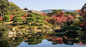 isuien-f