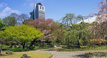 koshikawa-korakuen-fo