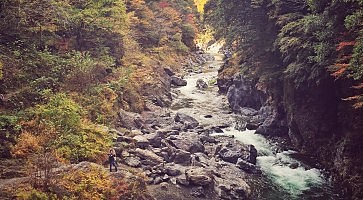 okutama-f