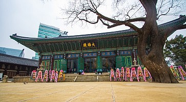 tempio-jogyesa-f