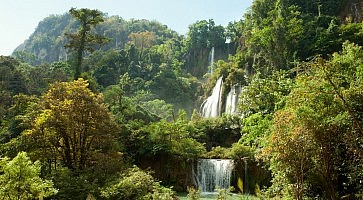 umphang-wildlife-sanctuary-f