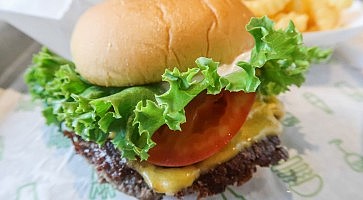 shake-shack-4
