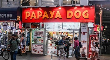 papaya-dog-3