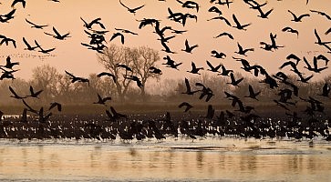 By: USFWS Mountain-Prairie
