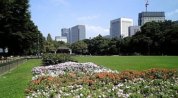 By: Yusuke Kawasaki