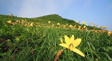 akita-komagatake