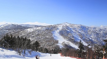 appi-kogen