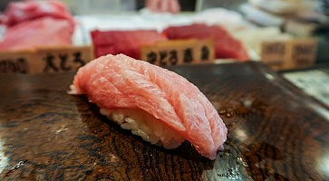 maguro-bito-14