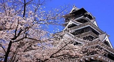castello-kumamoto