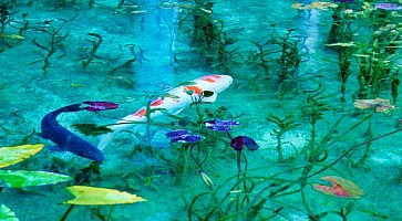 stagno-monet
