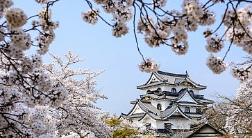 Hikone Castle