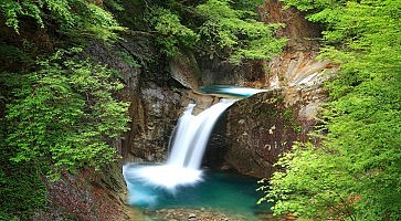 Fresh green and Valley