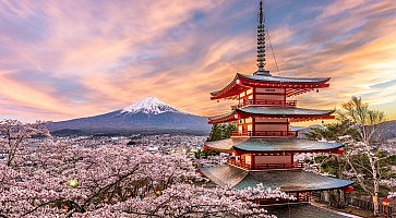 Fuji Japan in Spring