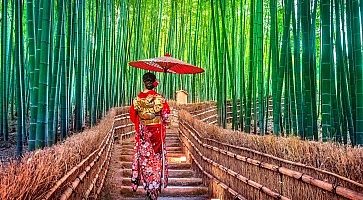 Bamboo Forest. Asian woman wearing japanese traditional kimono at Bamboo Forest in Kyoto, Japan.
