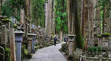 Okunoin Cemetery on Mt. Koya in Japan