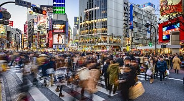 Shibuya Crossing