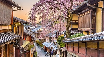 Kyoto, Japan in Spring
