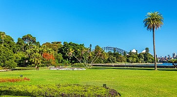 The Royal Botanical Garden of Sydney - Australia, New South Wales