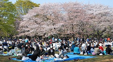 parco-yoyogi-f
