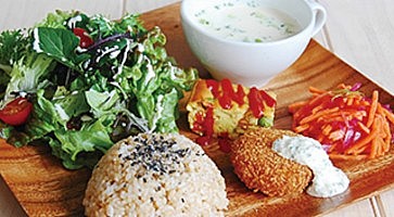 chaya-macrobiotics-fo