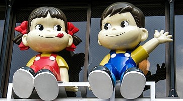 fujiya-fo