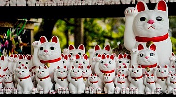 gotokuji-f