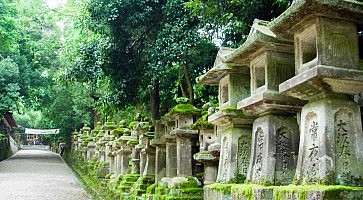 kasuga-taisha-f