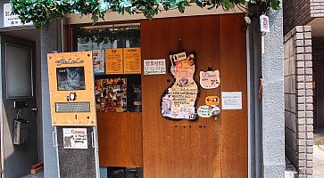 neko-cafe-jalala
