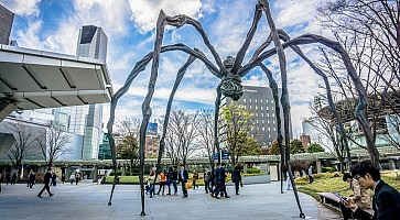 ragno-roppongi-f
