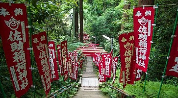 sasuke-inari-f