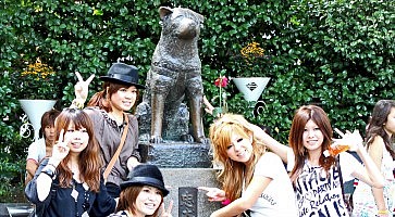 statua-hachiko-f