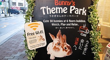 with-bunny-f